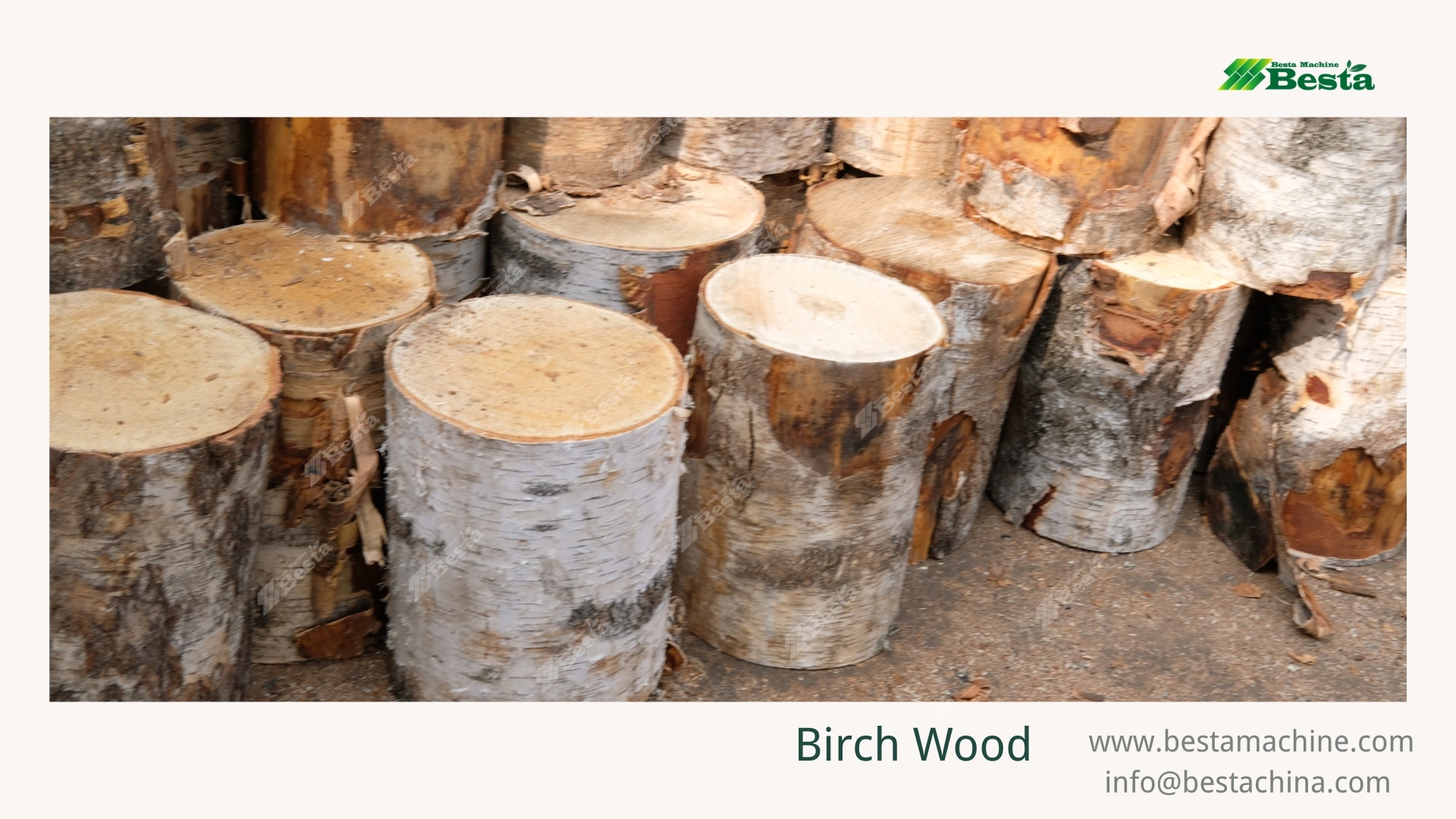 China Birch Wood (1) China Birch Wood (1)