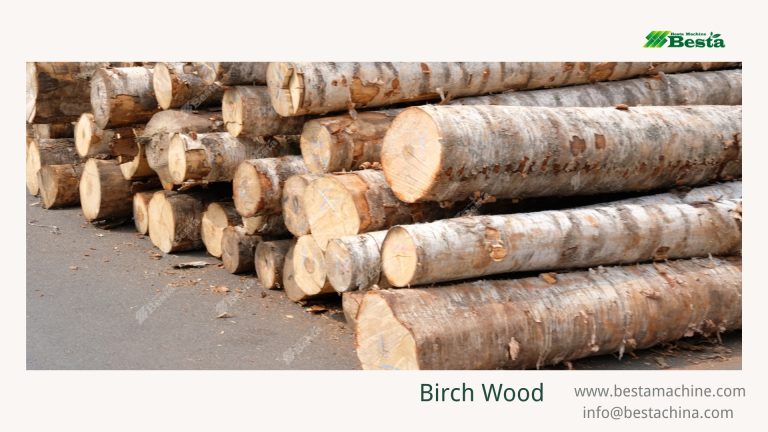 China Birch Wood (2)