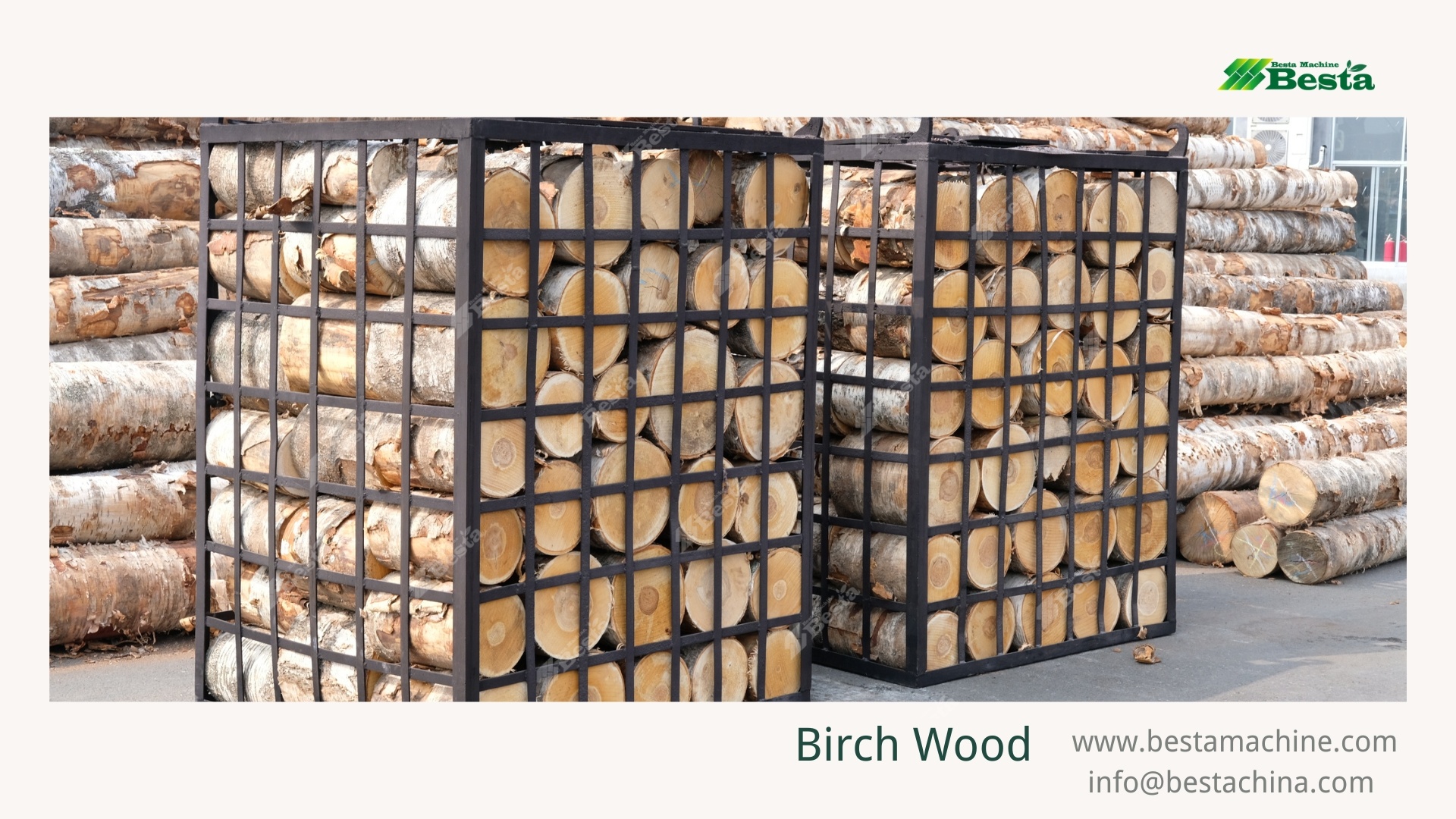 China Birch Wood (3) China Birch Wood (3)